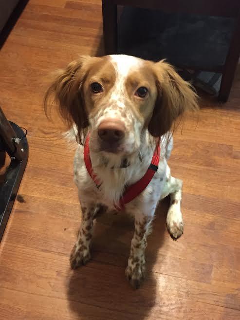 Opie