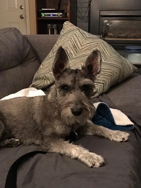 Winston