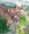 Lennox