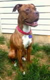 Lennox