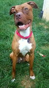 Lennox