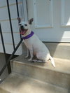 Lilly
