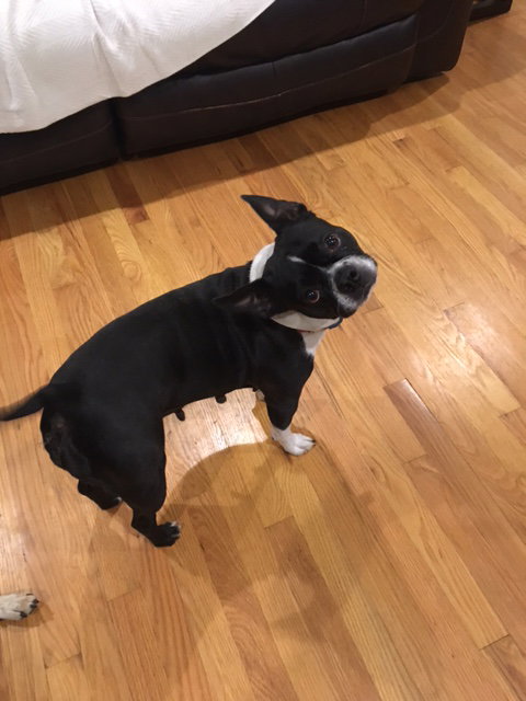 Millie