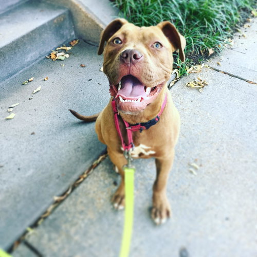 Matilda
