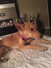 Molly