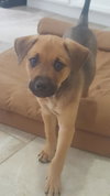 Maverick