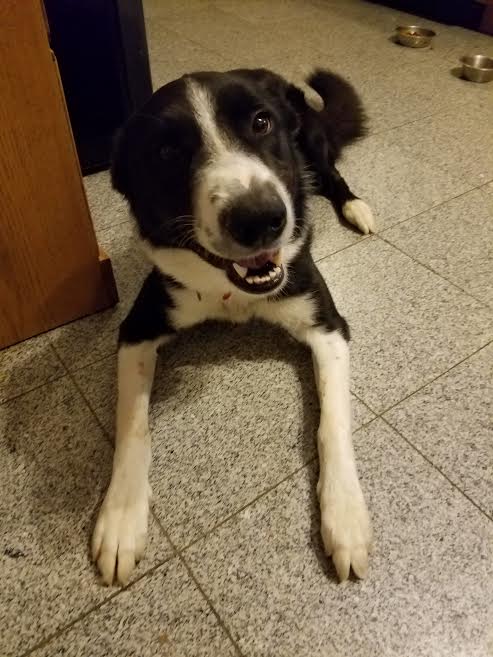 Murphy