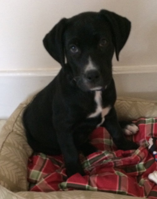 Max