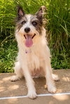 Bella Jo