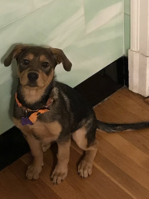 Mia