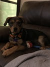 Mia