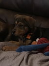 Mia