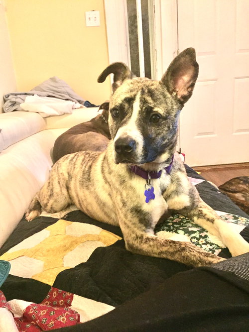 Nora