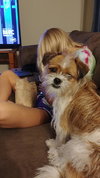 Izzy