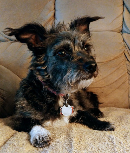 Rosie