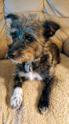 Rosie