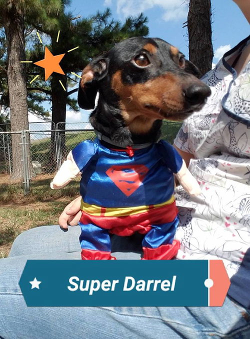 Darrel Doxon