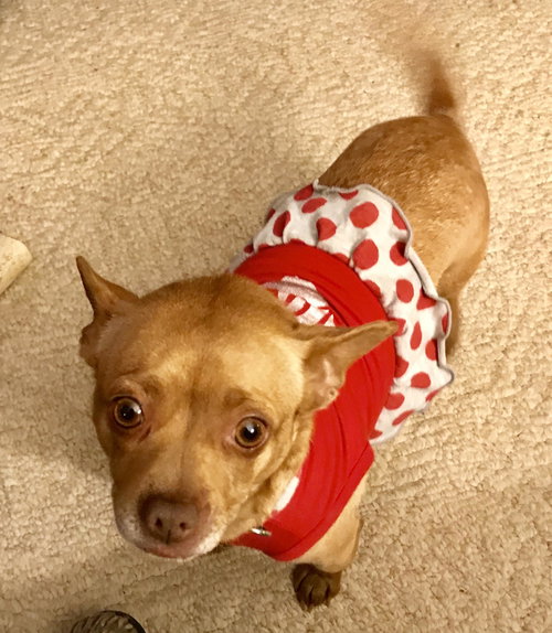 Mae Belle