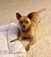 Mae Belle