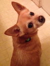 Beasley