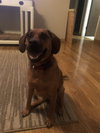 Maddie