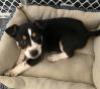 Mireya