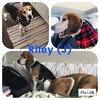 Riley J