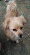 Mobi