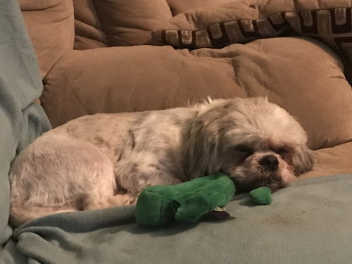 Chloe