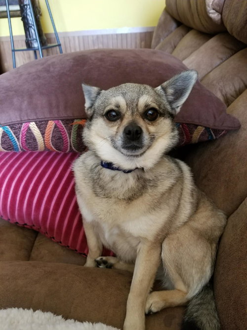 Jenna