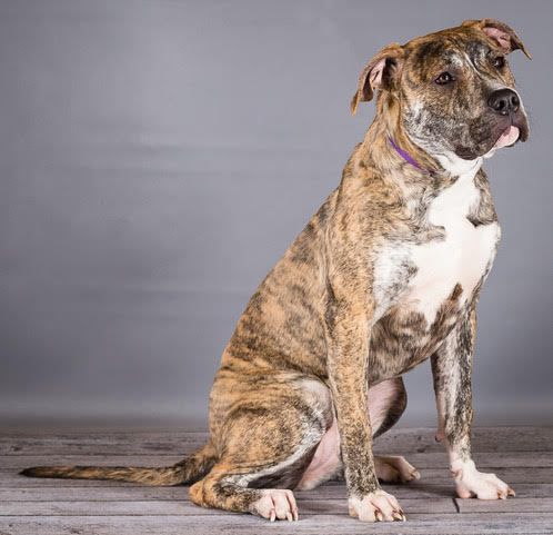 Maggie