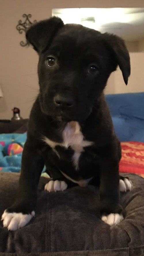 Charley