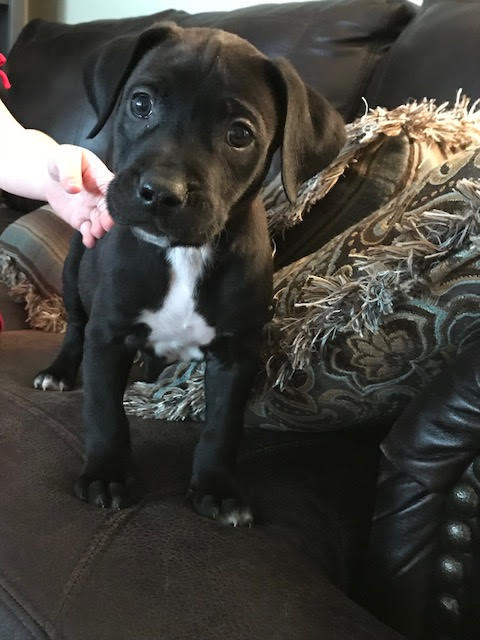 Franco