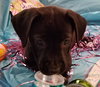 Sprout