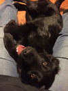 Sophie