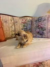 Thelma