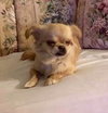 Thelma