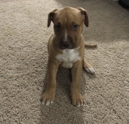 Jax