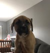 Jax