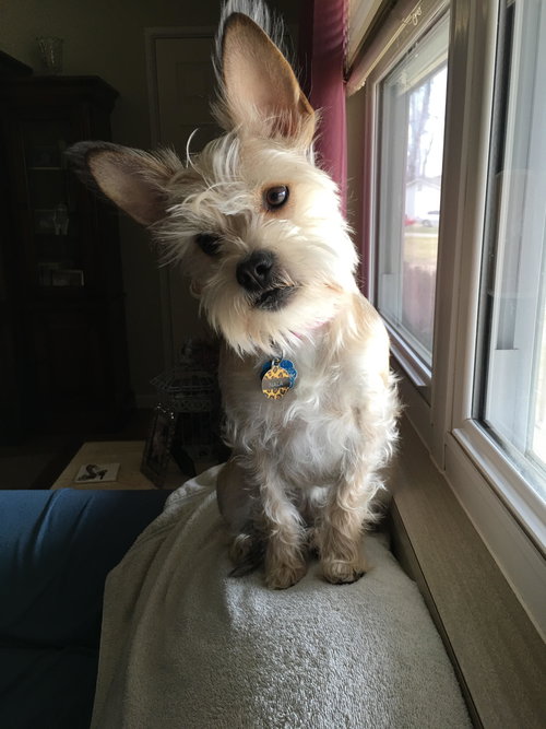 Nyla
