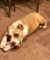 Ruth