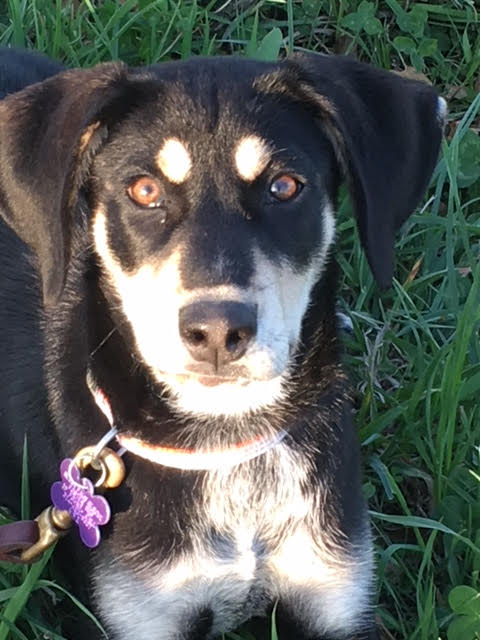 Minnie