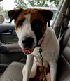 Lucy