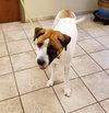 Lucy