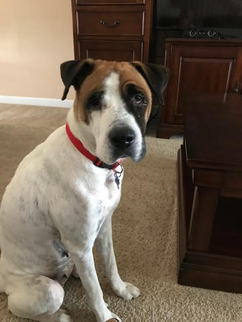 Lucy