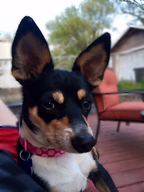 Mia