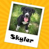 Skyler