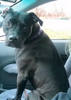 Winnie