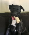 Winnie