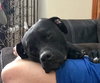 Winnie